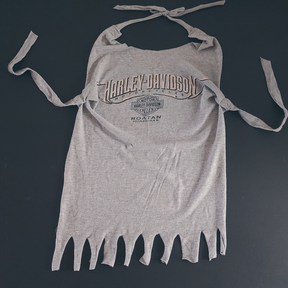 Harley Davidson custom cut top